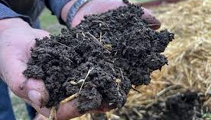 Fertilitatea solului: de ce depinde și cum poate fi crescută
