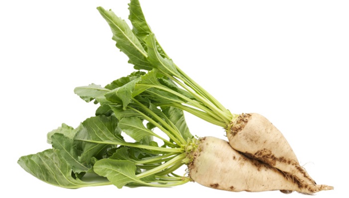 Fertilizarea plantelor de sfeclă de zahăr: Când și cum se fertilizează?